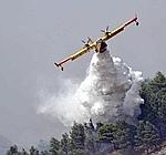 Incendio ai boschi sul monte Gradara