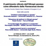 20140213-convegno-oltrepo