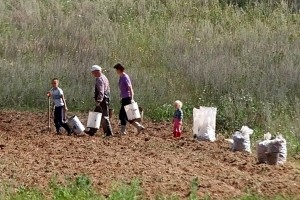 20161026-giornata-ringraziamento